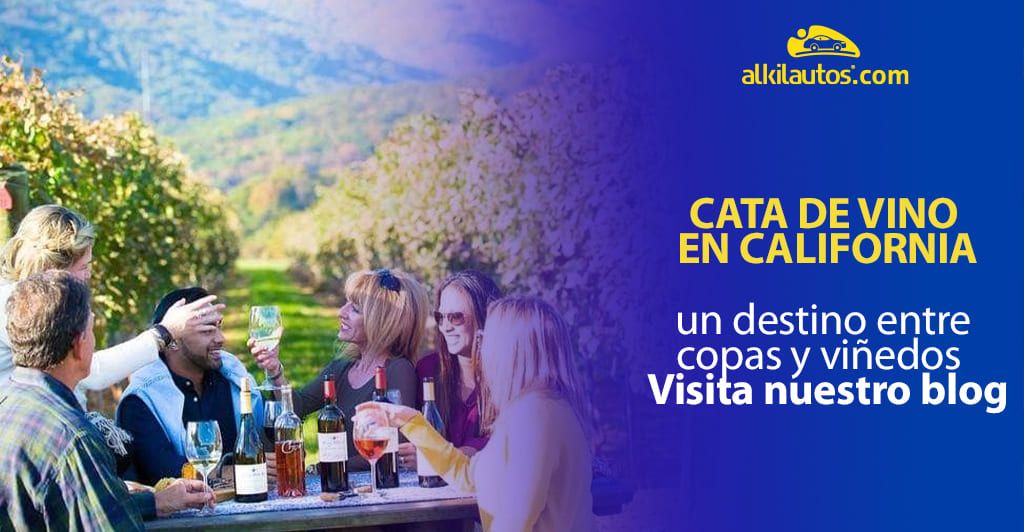 Cata de vino en California: un destino entre copas y viñedos