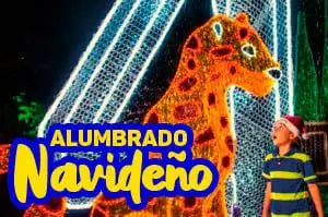Navidad-alquilar-un-carro-con-alkilautos-es-muy-facil