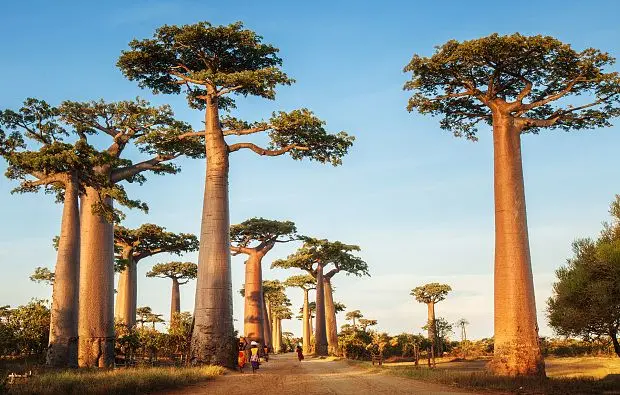 Países que no piden visa a los colombianos Madagascar