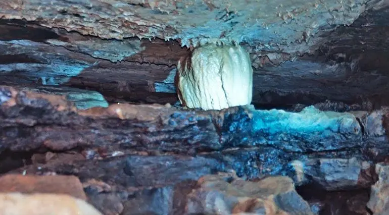 Cuevas en Colombia Cueva del tigre