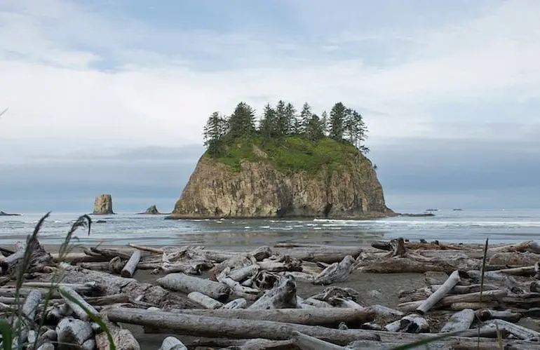 La Push Beach
