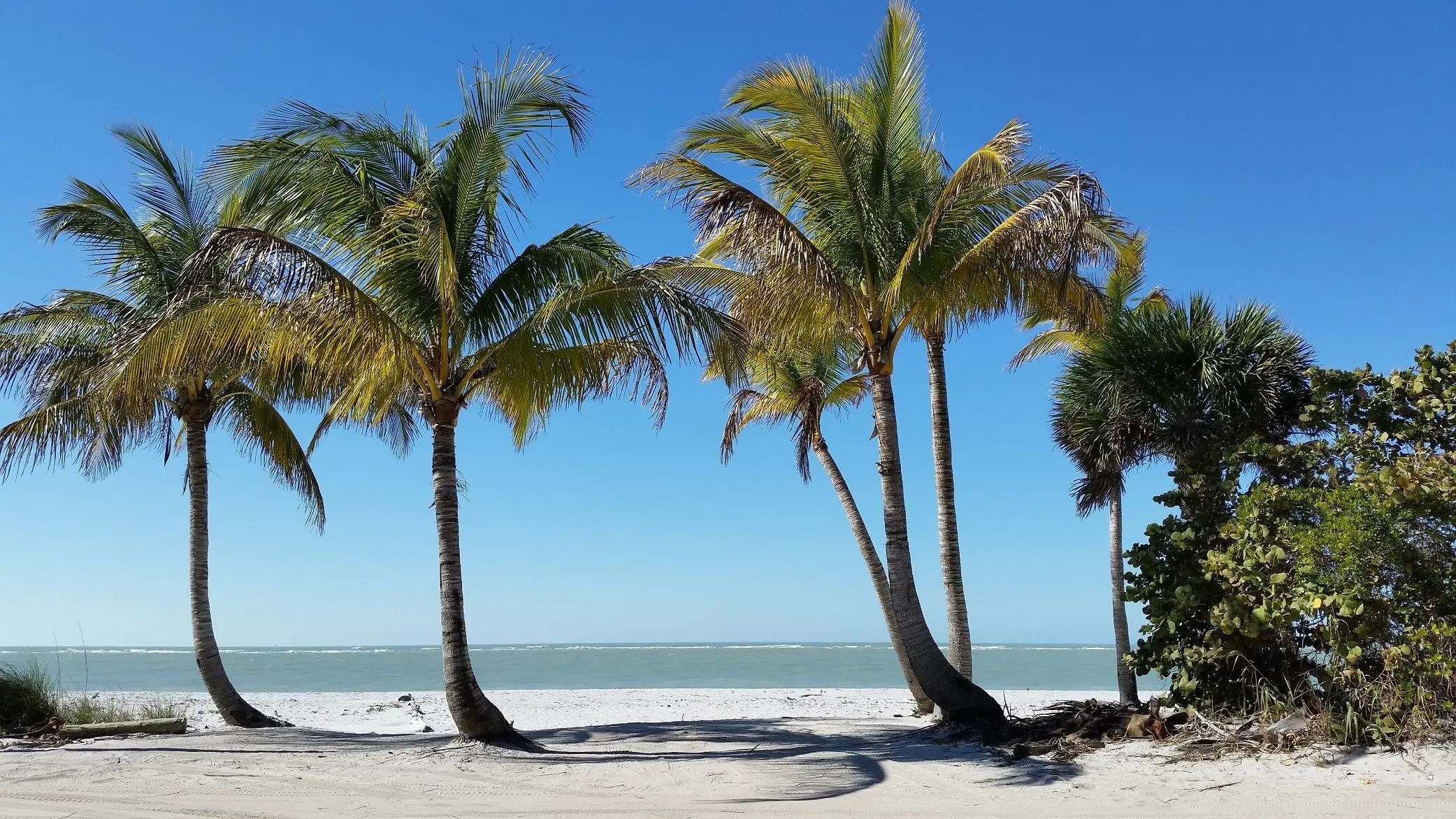Playas de La Florida Captiva Island