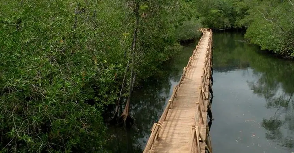 Acampar en Colombia - Utria
