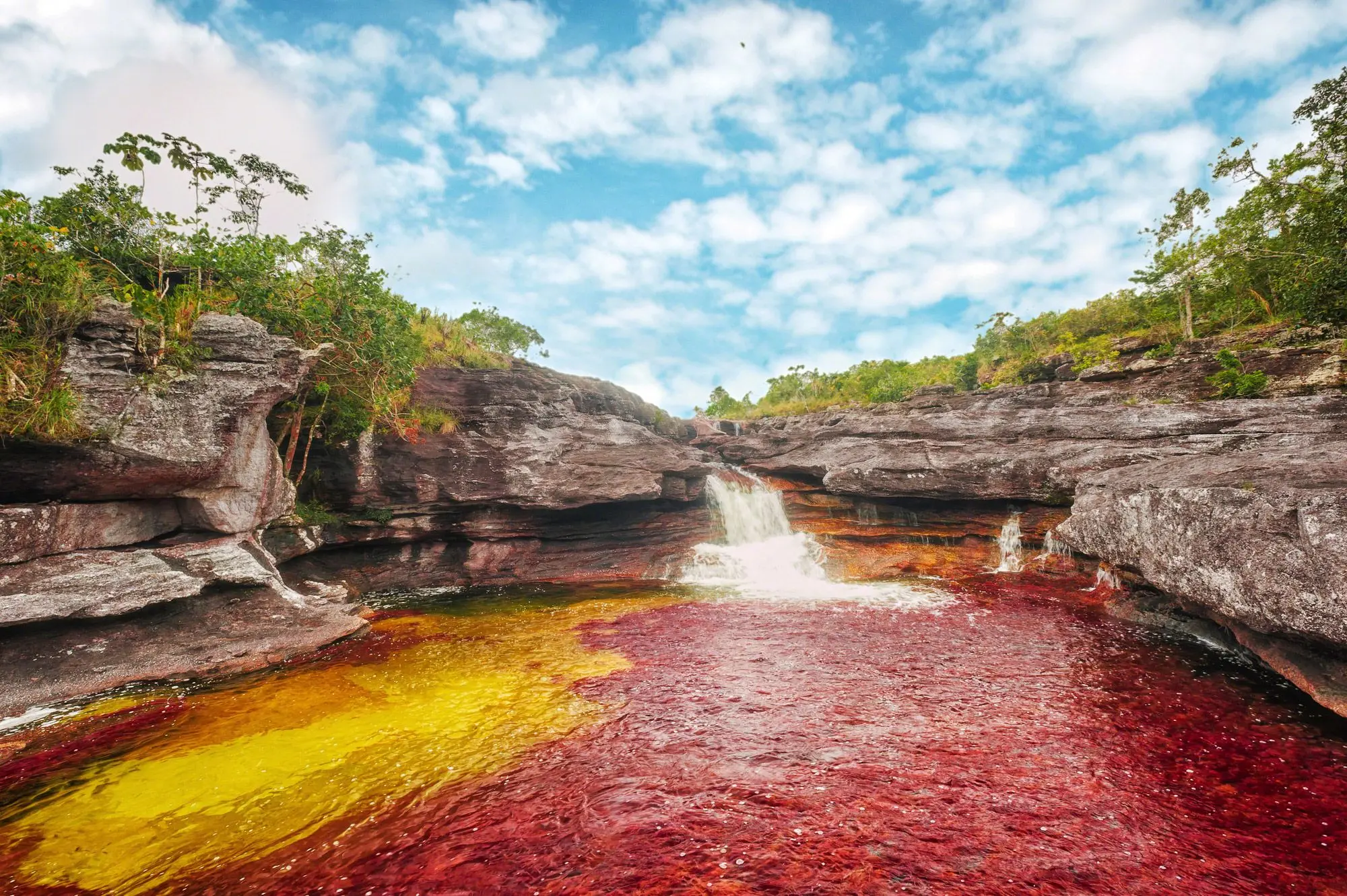 Caño Cristales en Colombia