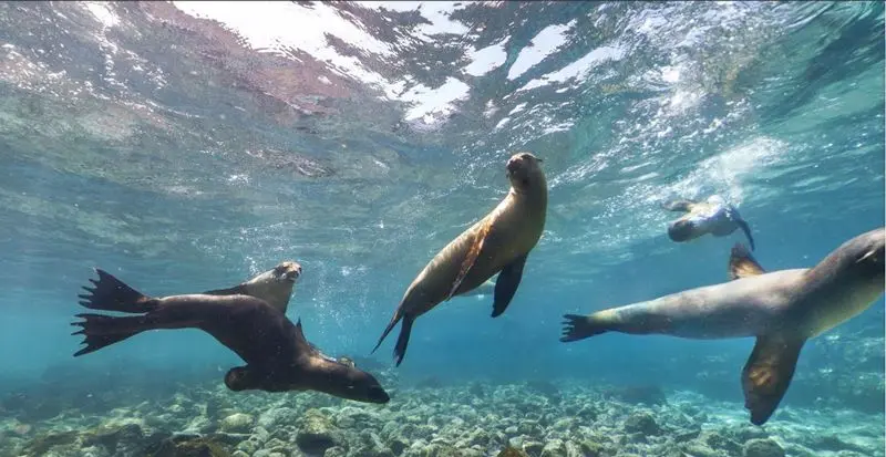 Islas Galápagos en Ecuador