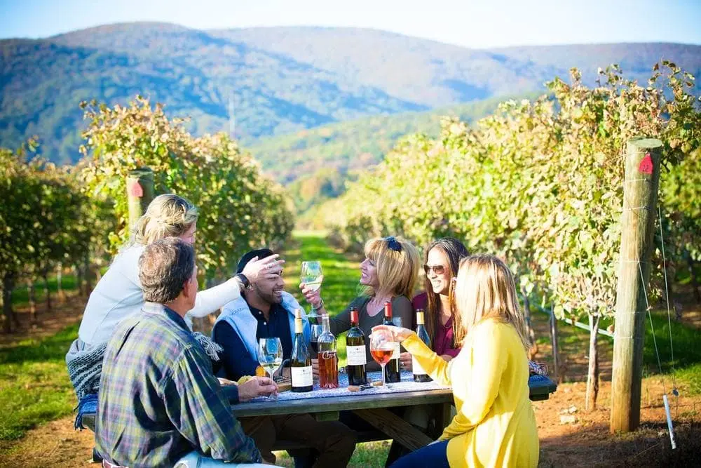 Cata de Vinos en California