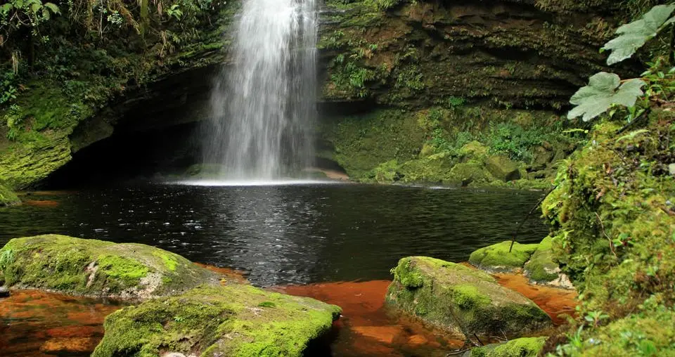 Turismo de naturaleza en Colombia Cueva de los Güacharos