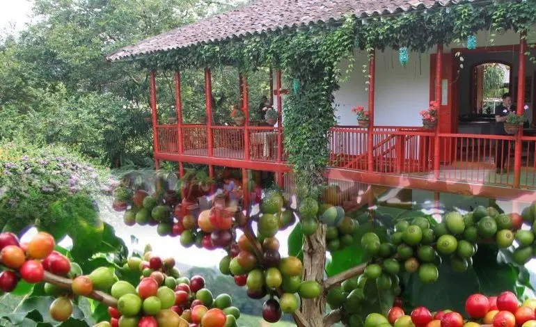 Turismo de naturaleza en Colombia Hacienda Cafetera