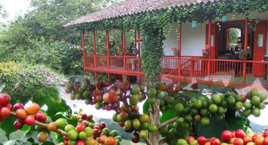 8 Lugares para viajar en amor y amistad - Colombia
