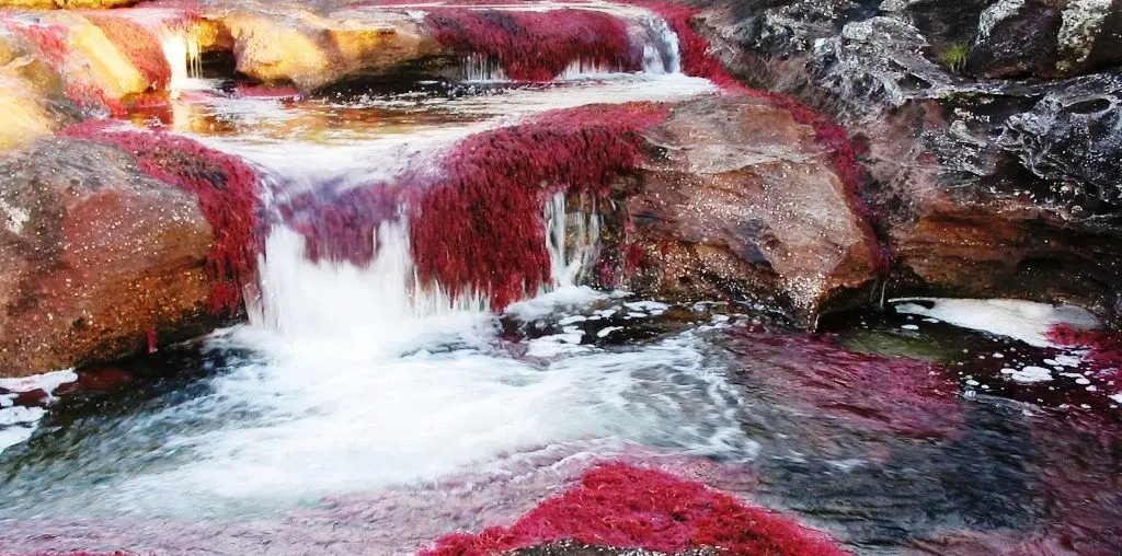 Turismo de naturaleza en Colombia Rio Guayabero