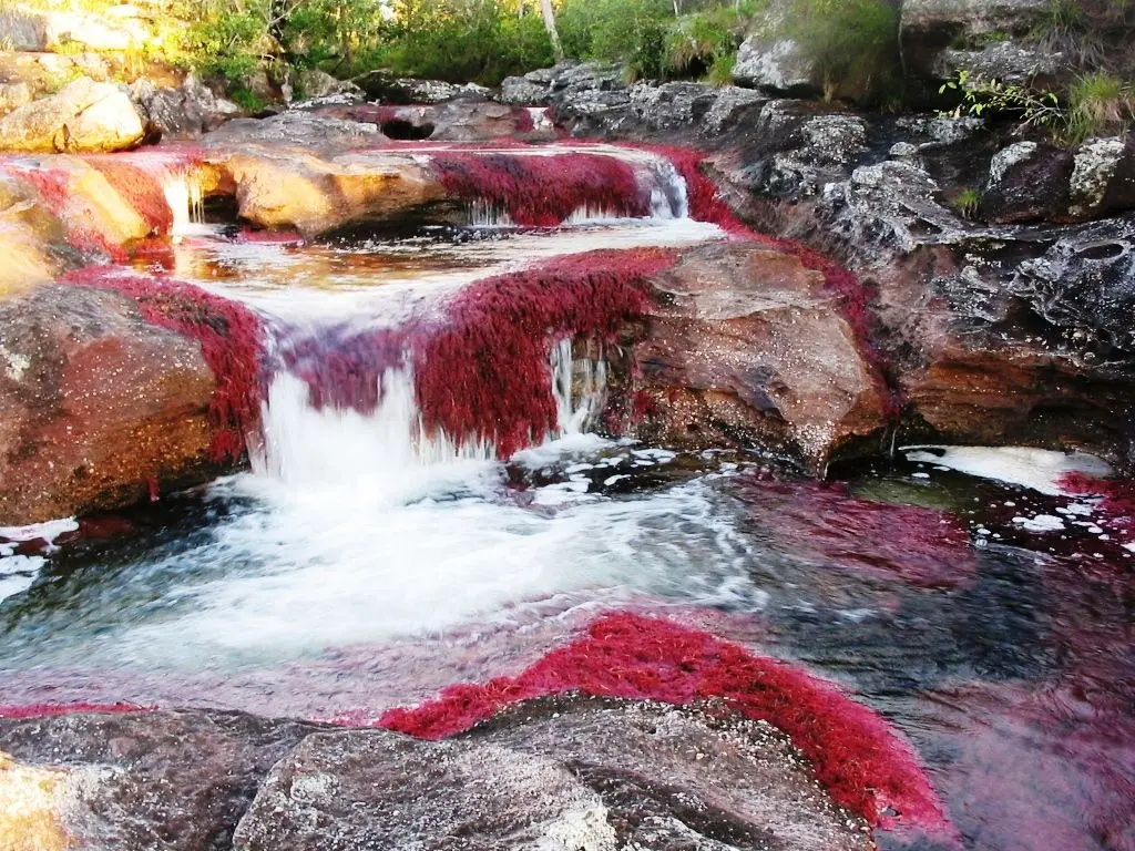 Turismo de naturaleza en Colombia Rio Guayabero
