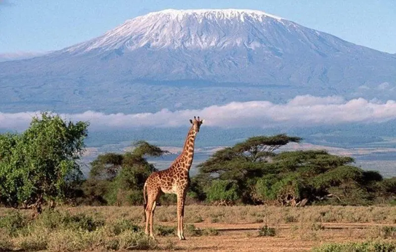 Africa