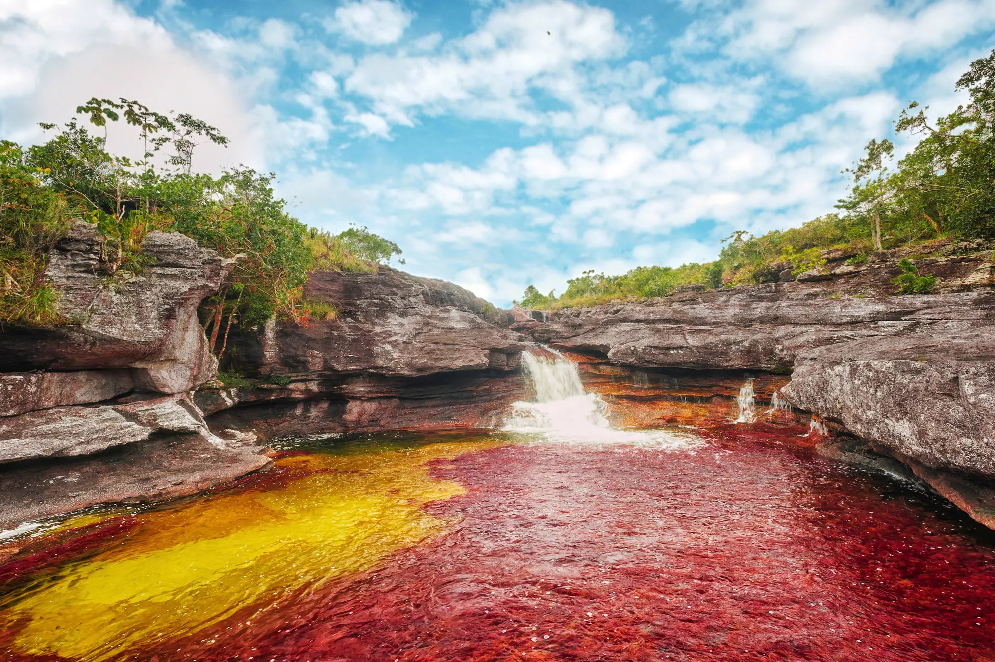 Amigos extranjeros - Caño Cristales en Colombia