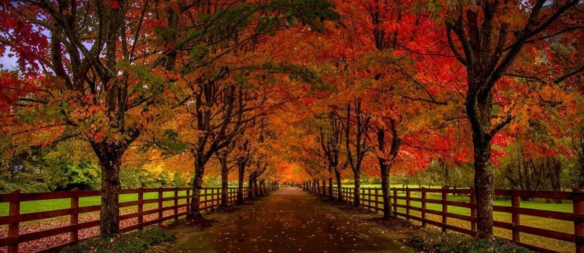 otoño en Estados Unidos
