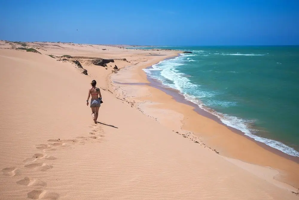 Amigos Extranjeros - Guajira