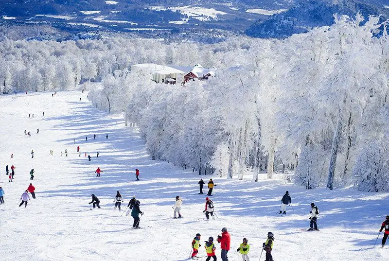 Tour por La Patagonia Argentina - Cerro Chapelco