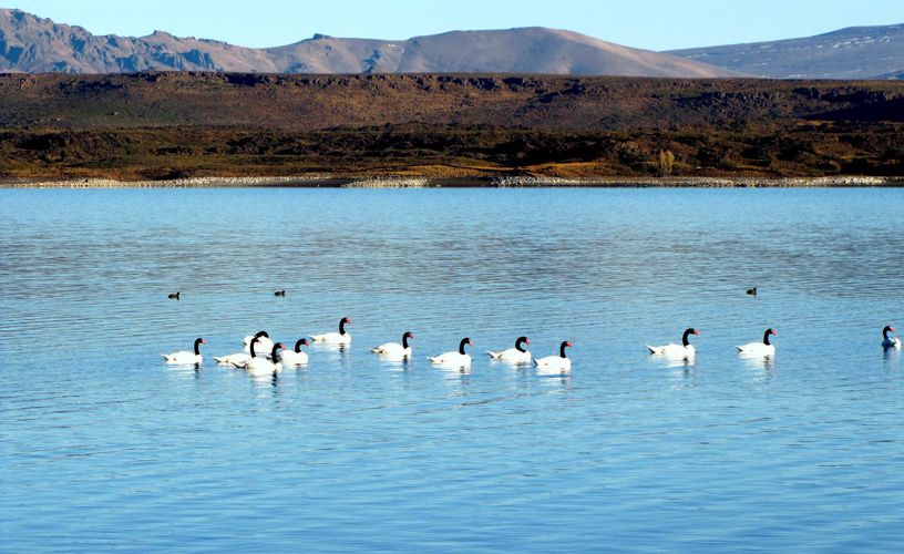 Tour por La Patagonia Argentina - Neuquen