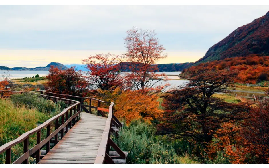 Tour por La Patagonia Argentina - Parque Nacional Tierra del Fuego