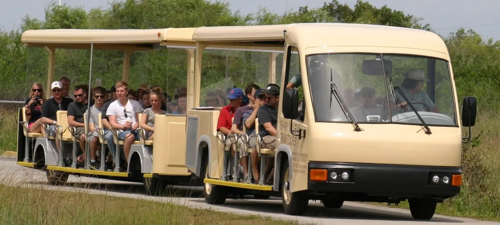 10 días en Miami - Shark Valley Tram Tour