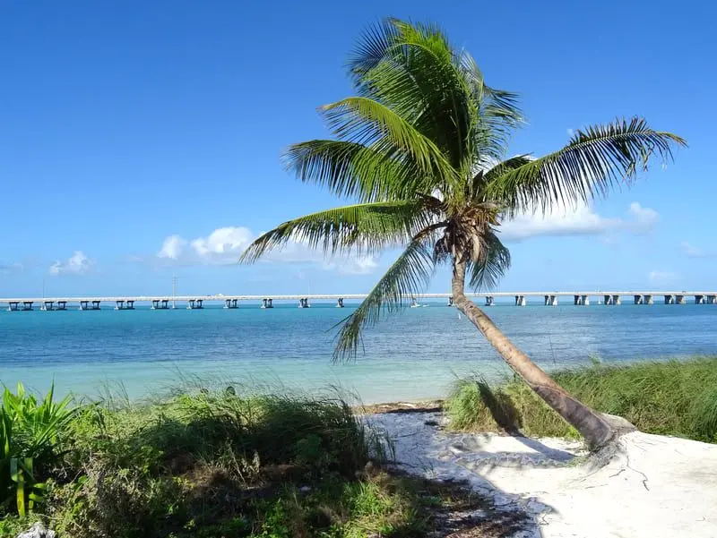 Las mejores playas en Florida Bahia Honda State Park