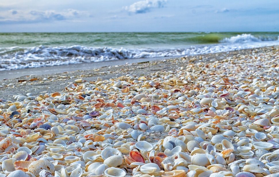 Las mejores playas en Florida - Sanibel Island