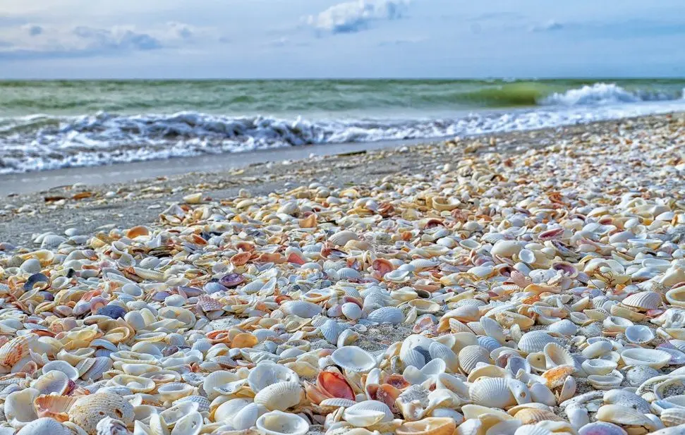 Las mejores playas en Florida - Sanibel Island