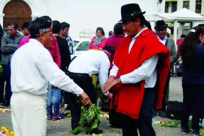 ¿Qué hacer en Quito? - Hierbatero