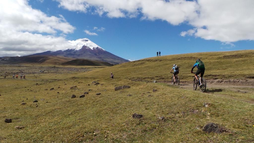 ¿Qué hacer en Quito? - Parque Nacional Cotopaxi