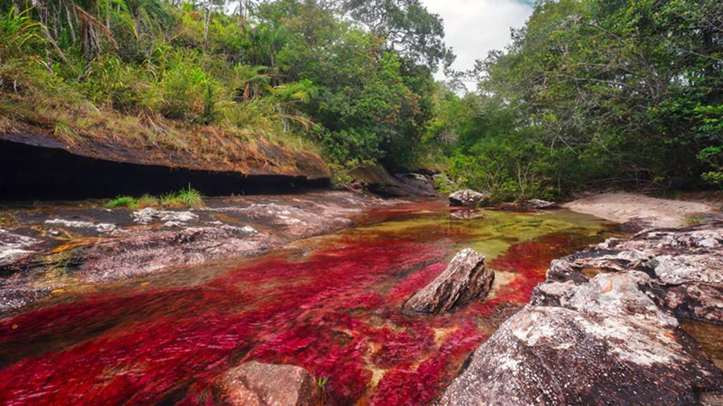 Lugares curiosos de Colombia - La Macarena