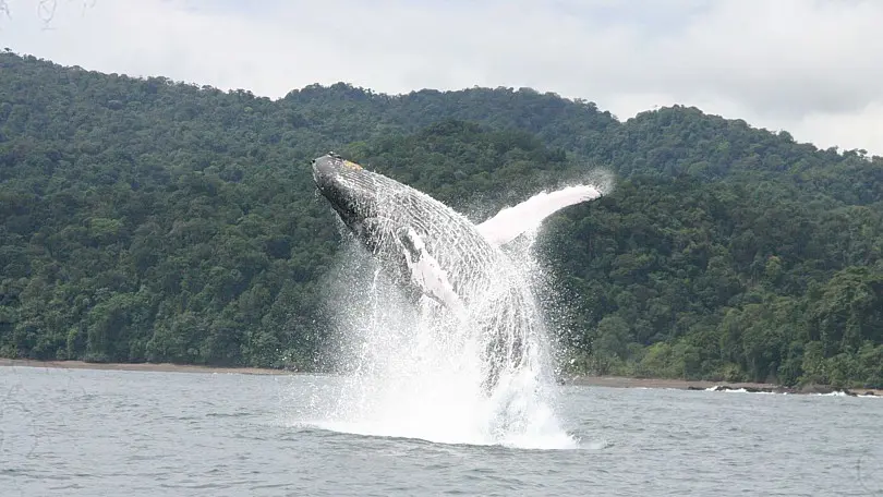 Lugares curiosos de Colombia - Uramba