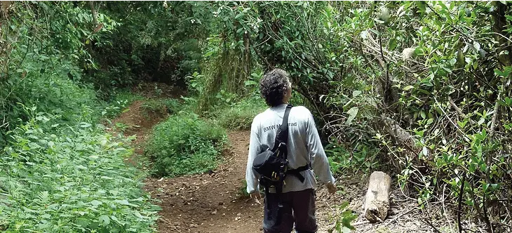 Planes-para-hacer-en-Cali---Reserva-Natural-Nirvana
