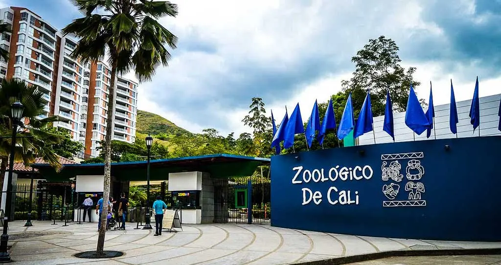 Planes para hacer en Cali - Zoológico de Cali