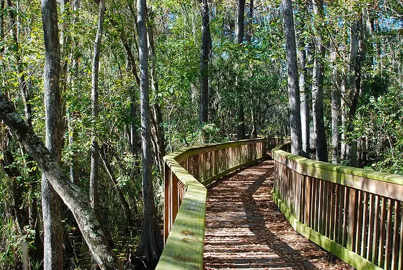 Recorrer-la-costa-de-Florida - Everglades