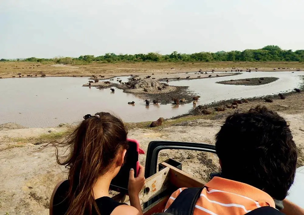 Planes exóticos en Colombia - Hato La Aurora