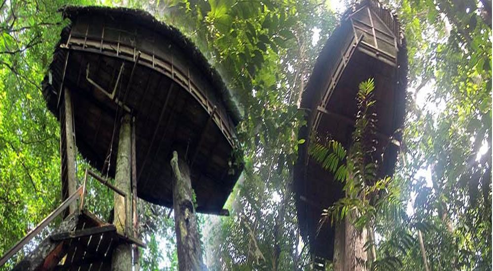 Planes exóticos en Colombia - Reserva Natural Tanimboca