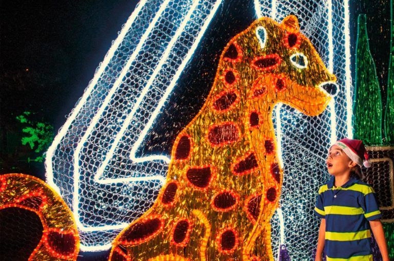 Medellín en navidad: 7 lugares para visitar