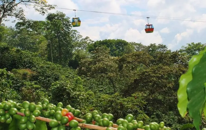 Varios lugares en 5 días: paseo en el Eje Cafetero: