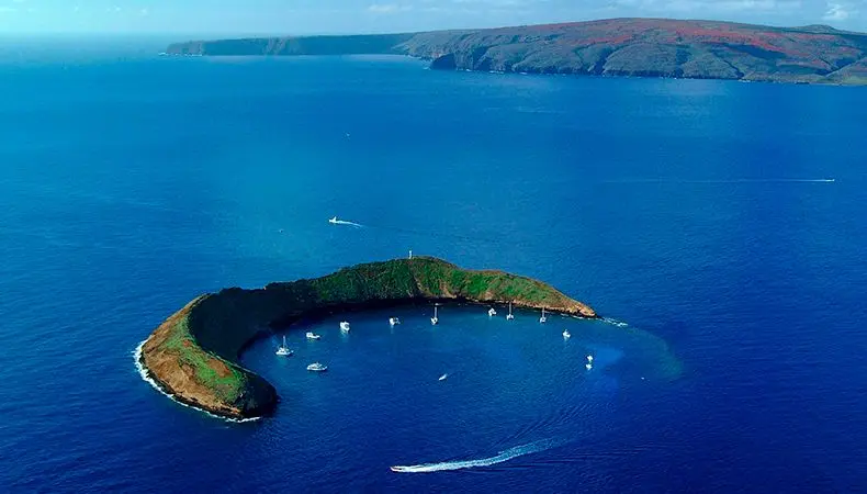 Sueño hecho realidad: viajar a Hawái