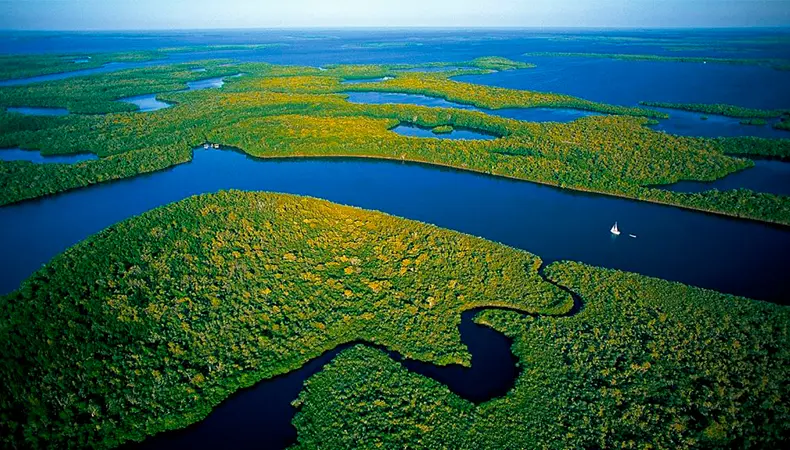 Seis bosques en Colombia para conocer