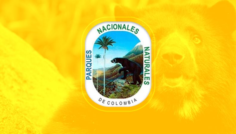 Seis bosques en Colombia para conocer