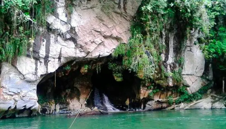 Seis bosques en Colombia para conocer
