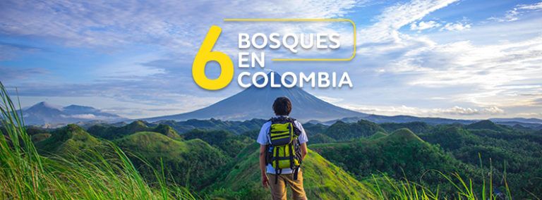 Seis bosques en Colombia para conocer