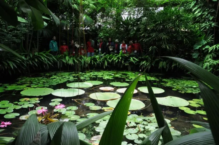 Planes para niños en Bogotá Jardin Botanico