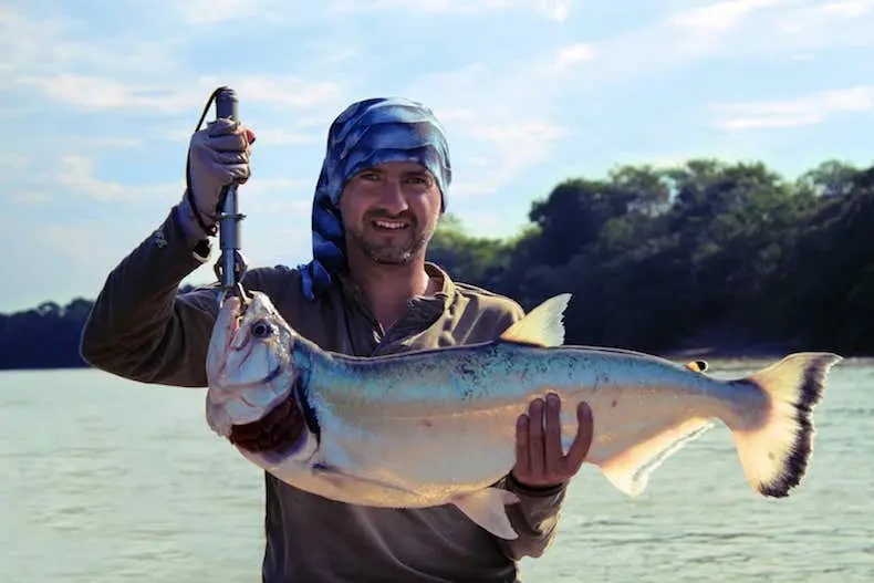 pescadeportiva - ¿Cómo funciona la pesca deportiva en Colombia?