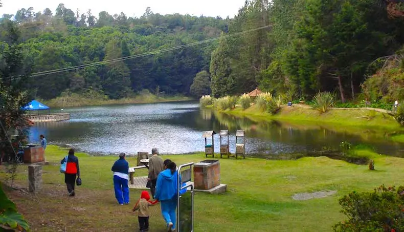 Parquearvi - 7 lugares para hacer picnic en Medellín que vas a querer conocer