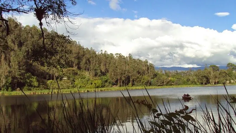 TE PUEDE INTERESAR: Glamping en Colombia: una experiencia que tienes que vivir