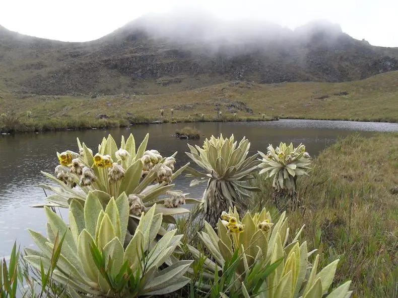 VER: Termales en Colombia para visitar
