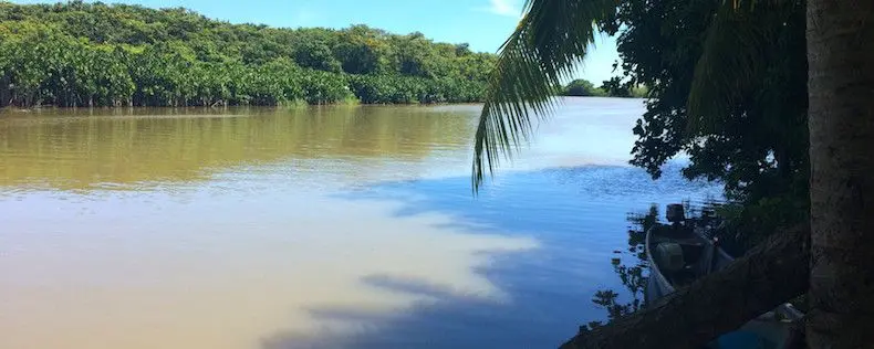 TE PUEDE INTERESAR: Fin de semana en Antioquia