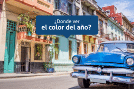 Dónde ver el color del año