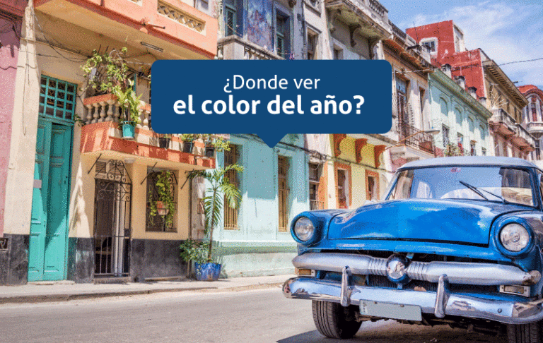 Dónde ver el color del año